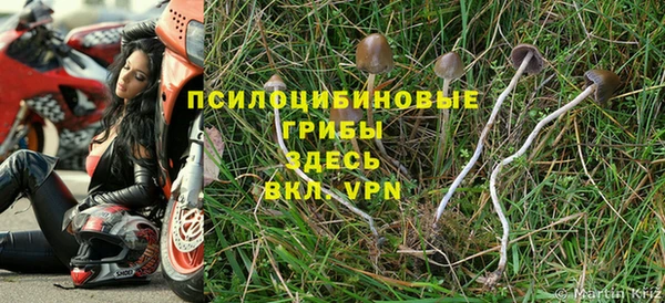 СК Володарск