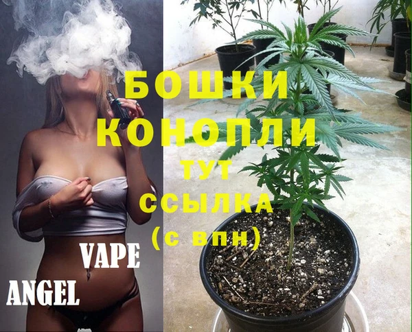 мдпв Волосово