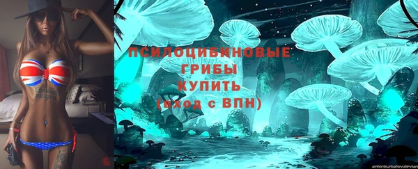 СК Володарск